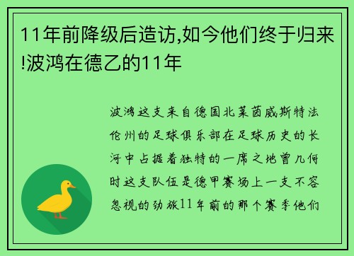 11年前降级后造访,如今他们终于归来!波鸿在德乙的11年