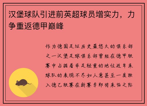 汉堡球队引进前英超球员增实力，力争重返德甲巅峰