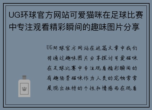 UG环球官方网站可爱猫咪在足球比赛中专注观看精彩瞬间的趣味图片分享